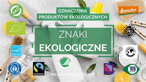  Lignin – Zastosowania w Bioplastikach i Produktach Chemicznych?