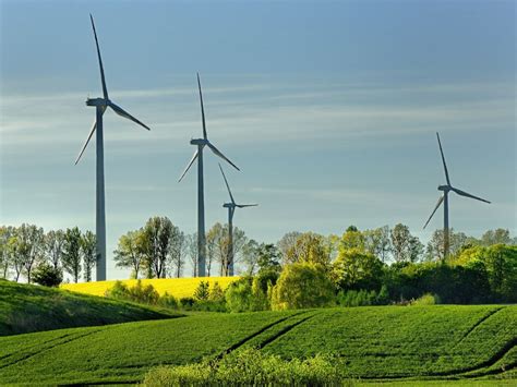  Niepozorny Nasiona - Jak Zastosować To Niesamowite Żródło Energii w Przemyśle i Rolnictwie?