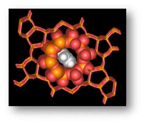  Zeolite: Wyjątkowe Materiały Wspomagające Oczyszczanie i Przechowywanie Energia!